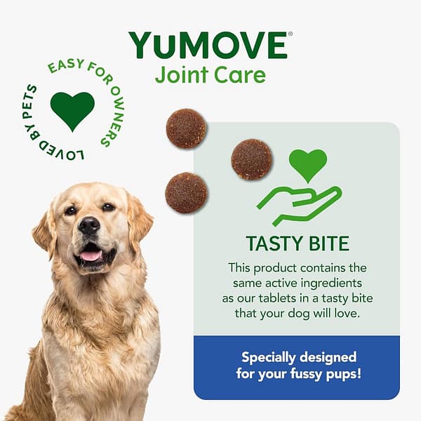 YuMove Joint Care Daily Bites Tasty Infographic 1080px YuMove Joint Care Daily Bites Tasty Infographic 1080px
