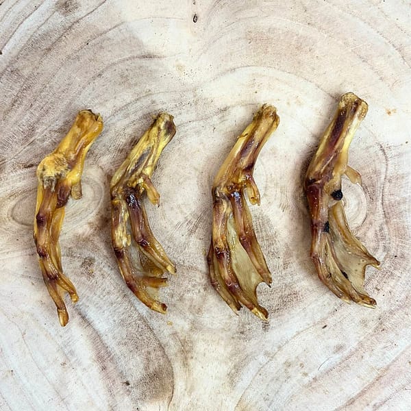 duck-feet-1 duck-feet-1