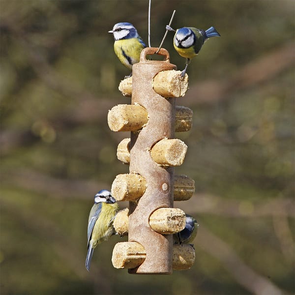 suet-log-feeder-lifestyle Birds feeding on insect flavour suet logs in garden