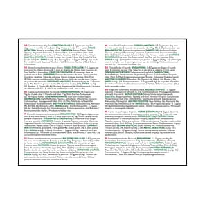 KONG Ziggies Puppy MedLge Back of Pack Text 1024