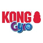 KONG Gyro Logo