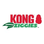 KONG Ziggies Logo
