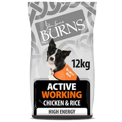Burns Active Working Chicken & Rice 12kg