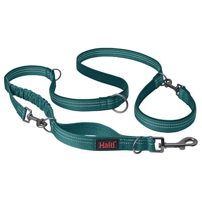 Halti Anatomy Multifunctional Dog Lead - Teal