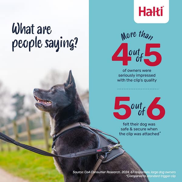 Halti BRIG Safety Lead Feedback Infographic 1080 Halti BRIG Safety Lead Feedback Infographic 1080