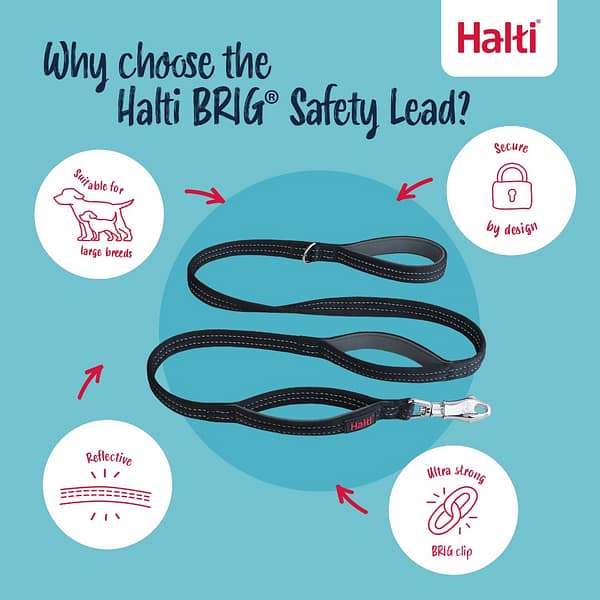 Halti BRIG Safety Lead Why Choose Infographic 1080 Halti BRIG Safety Lead Why Choose Infographic 1080