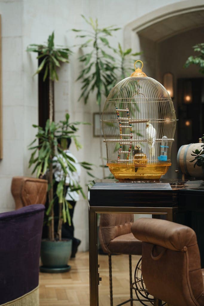 Home 4 Shop supplies for cage birds, pigeons and poultry including feed and supplements