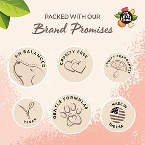 PH_Board6_BRANDPROMISES-04