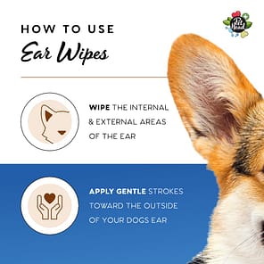 PH_Amazon_Healthcare_Ear_Wipes
