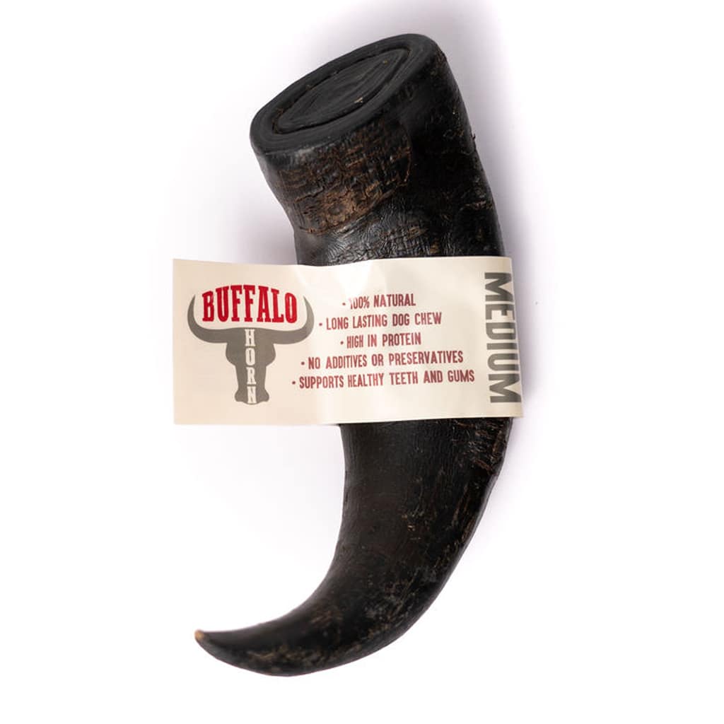 Nova Buffalo Horn Medium 2 Nova Buffalo Horn Medium - Image 2