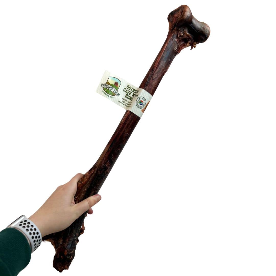 Ostrich Caveman Bone 3 Ostrich Caveman Bone - Image 3
