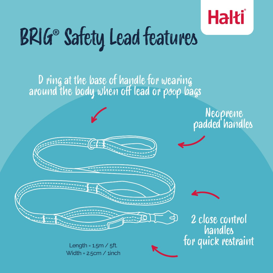 Halti BRIG Safety Dog Lead 8 Halti BRIG Safety Dog Lead - Image 8