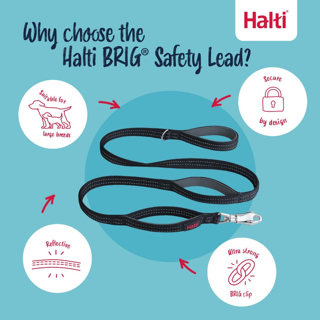 Halti BRIG Safety Dog Lead 11 Halti BRIG Safety Dog Lead - Image 11