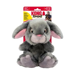 KONG Toughz Bunny on card 1080