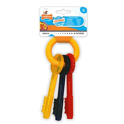 Nylabone Puppy Keys