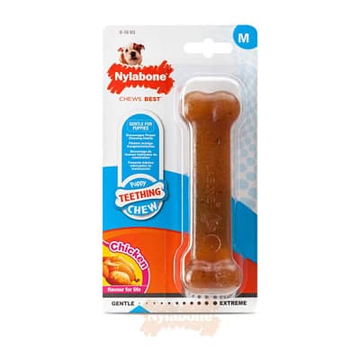 Nylabone Puppy Bone Chicken