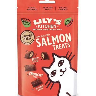 Lily's Kitchen Cat Treats with Salmon