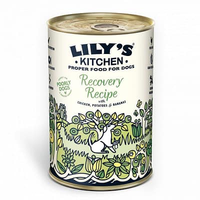 Lily's Kitchen Dog Recovery Recipe 400g 6pack