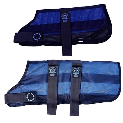 Small and Large Dog Cooling Coats in Blue