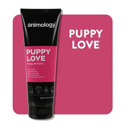 Animology Puppy Love Shampoo bottle on a pink background and white text title