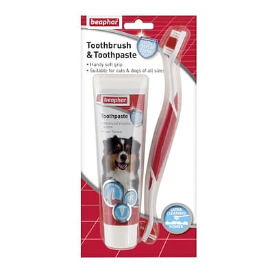 Blister pack of Adult Dental kit for Cats and dogs