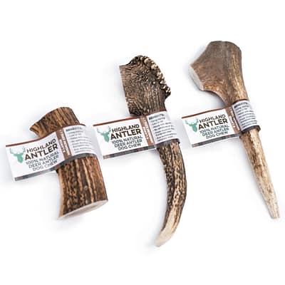 Highland Deer Antler - Natural Dog Chew