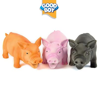 Good Boy Doggy Doolittles Piggy Pals