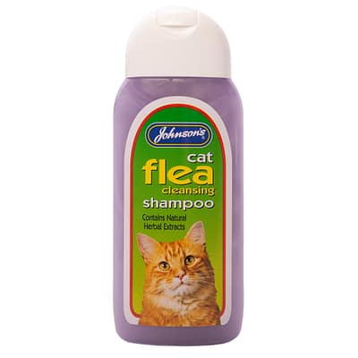Bottle of cat flea shampoo with ginger cat on label