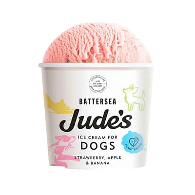 Tub of Pink Judes Doggy Ice cream