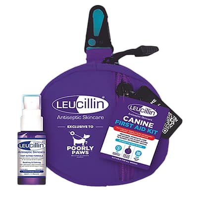 Purple Pocket size First Aid Kit for Dogs with small bottle of Leucillin Antiseptic Skin Spray