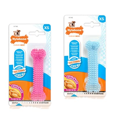 Nylabone Puppy Dental Bone Chicken